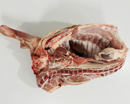 carnes de cabrito talho avenida